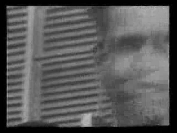 Mario Savio